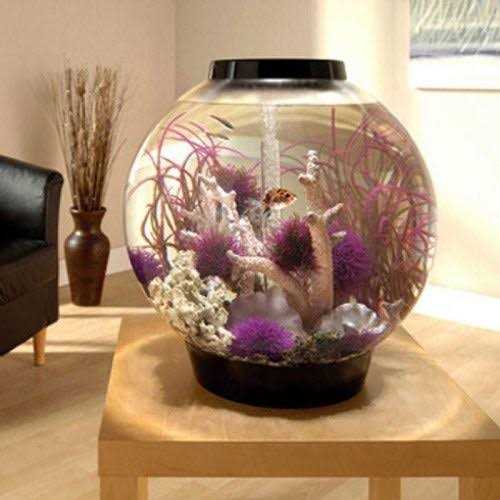 Classic 60 Aquarium with LED Q94111