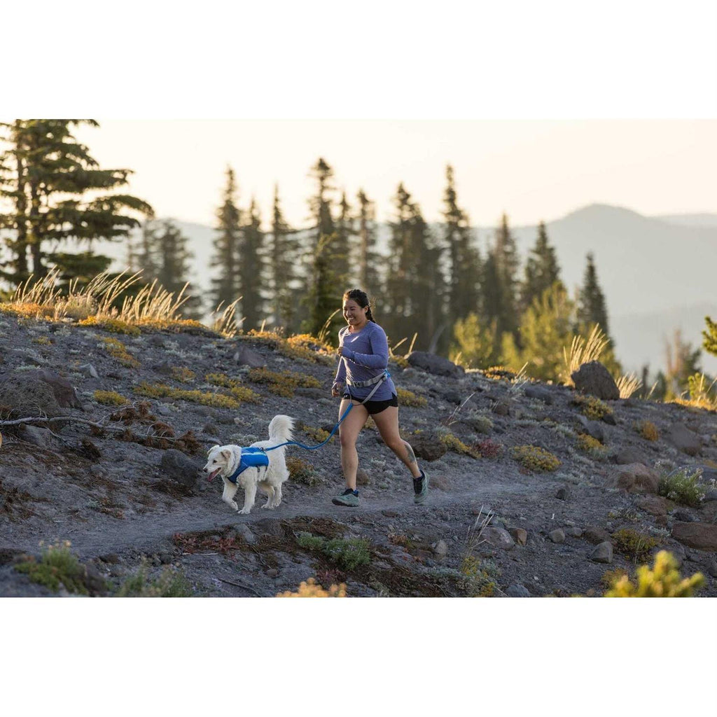 Trail Runner Belt P12503