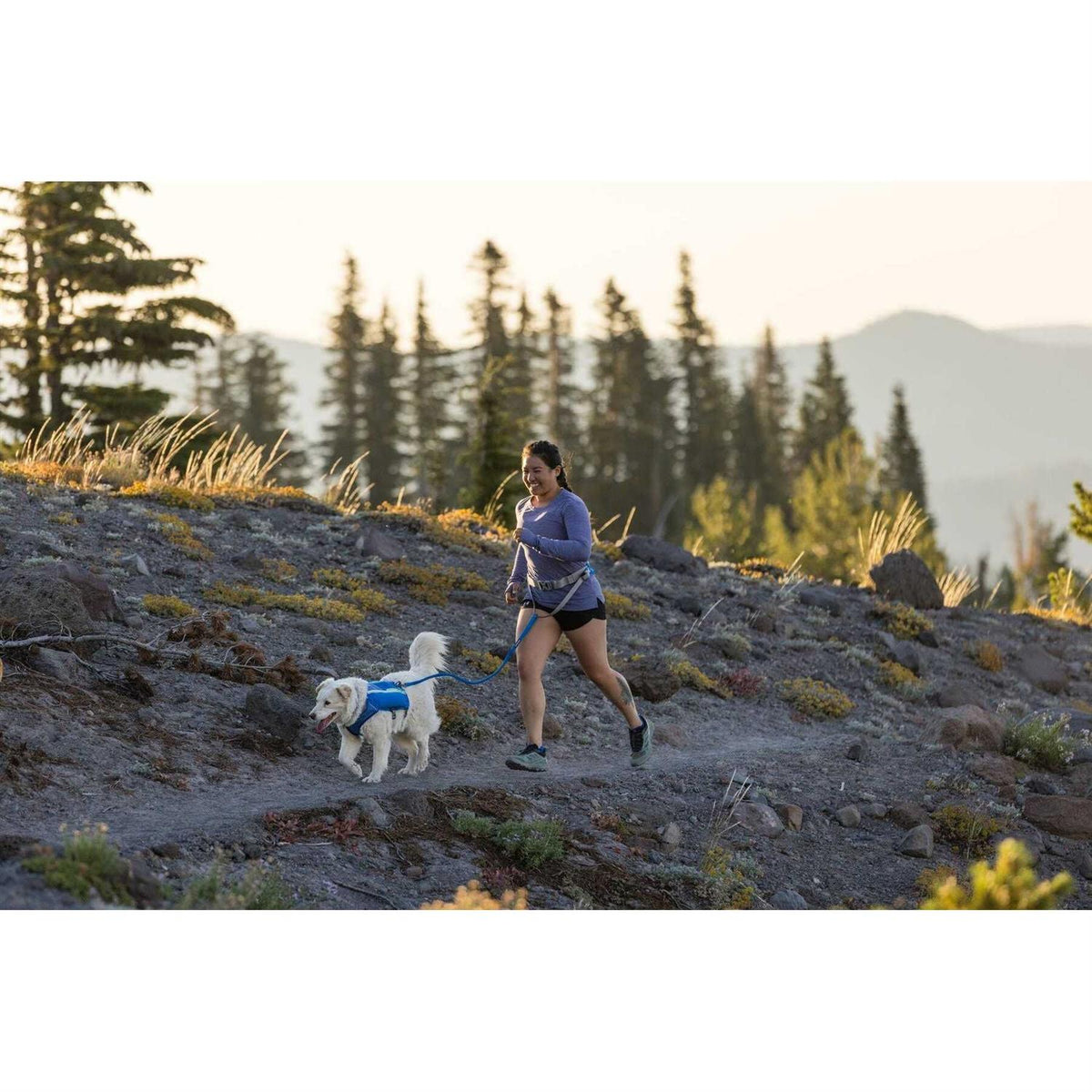 Trail Runner Belt P12503