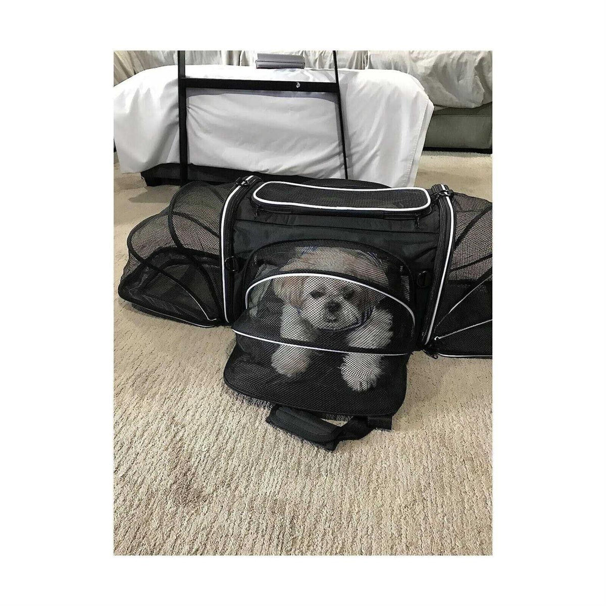 Soft Sided Pet Carrier 4 Expandable Collapsible Q66803