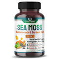 Organic Sea Moss Capsules 12,900mg with Black Seed Oil, Ashwagandha, Burdock Root 150 Count G240