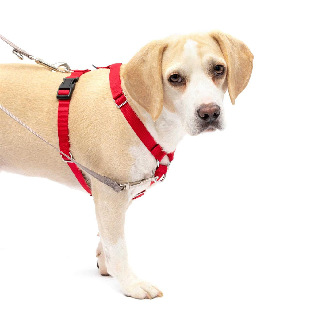 Pet Supplies U54778