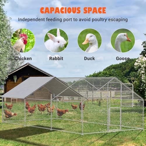 Large Walk in Metal Chicken Coop for 10 Chickens R39713