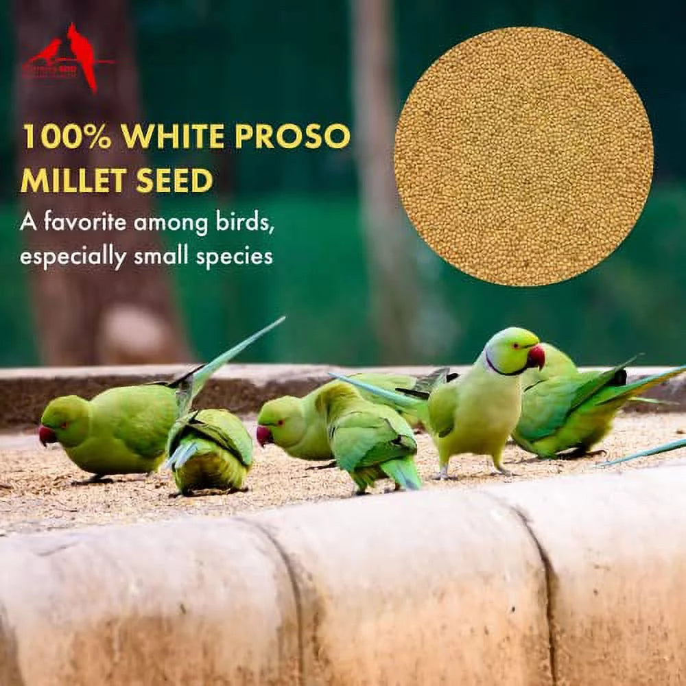 White Proso Millet Bird Seed 4.5 lbs Q806597