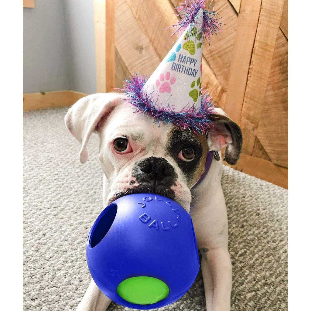 Pet Ball D331