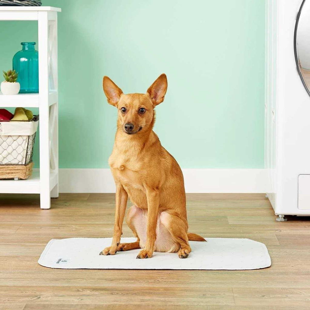 Washable Dog Pee Pads P464342