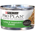Wet Cat Food R69670