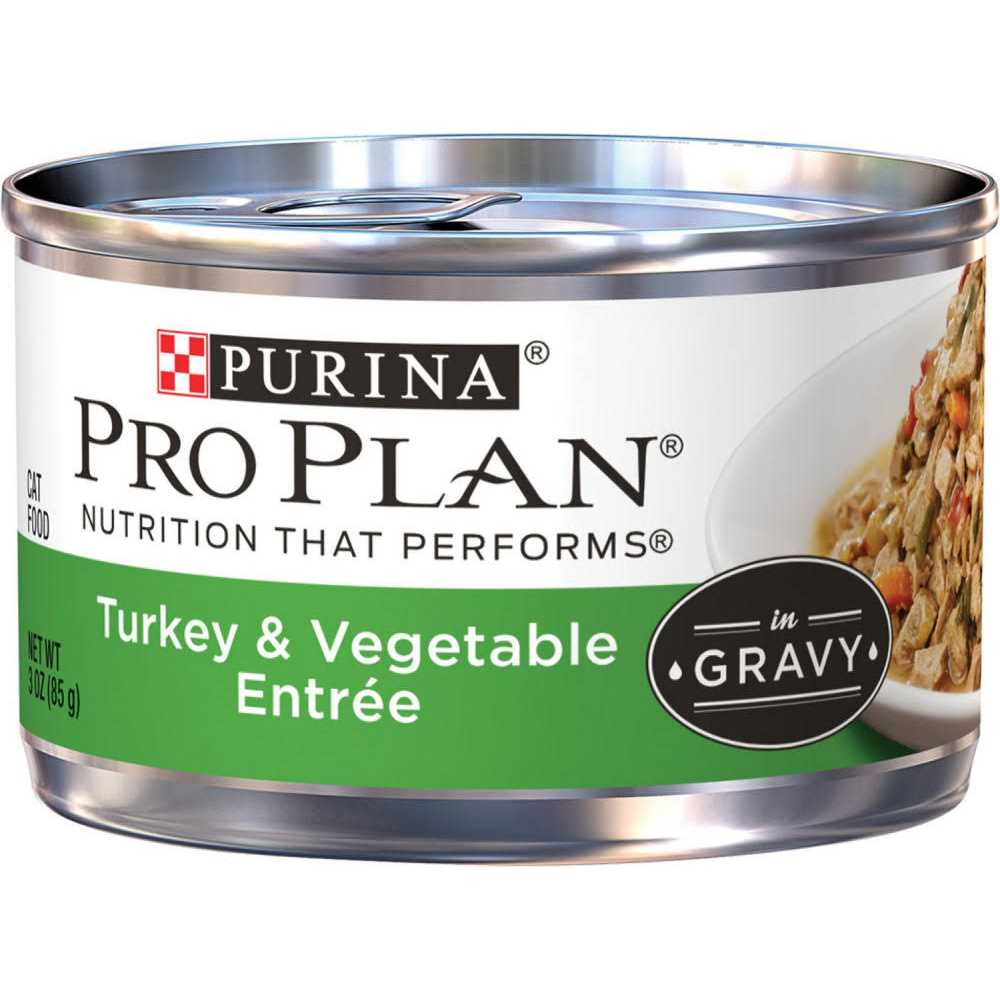 Wet Cat Food R69670