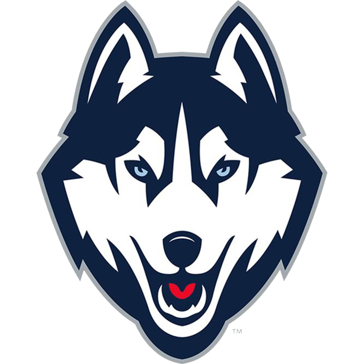 UConn Huskies Giant Removable Decal J9891