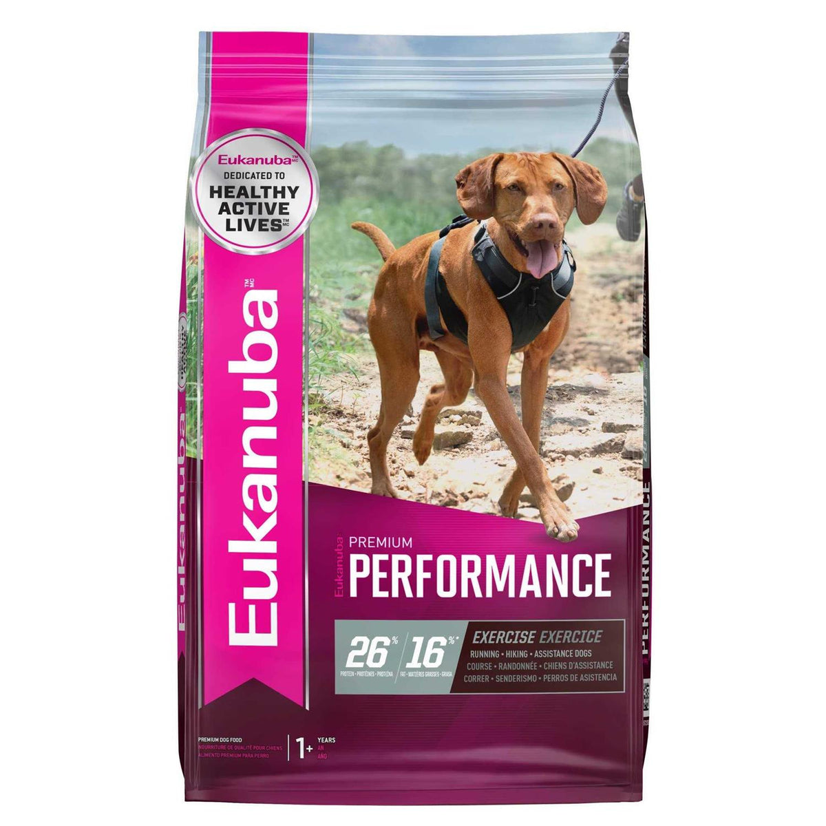 Dry Dog Food N123751