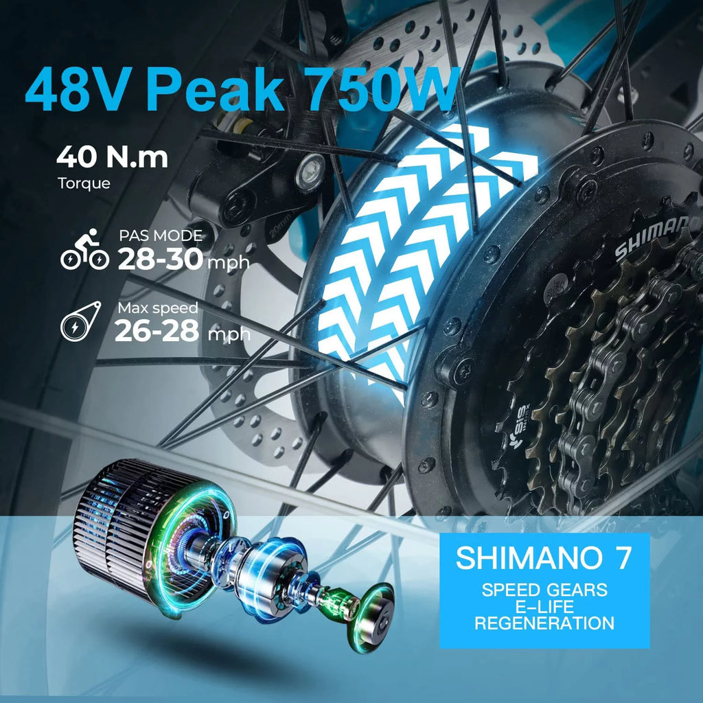 Folding Electric Bike 750W 20 inch Fat Tire 13Ah Black G773