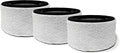 3-in-1 True HEPA Carbon Filter Replacement, 3 Pack I369
