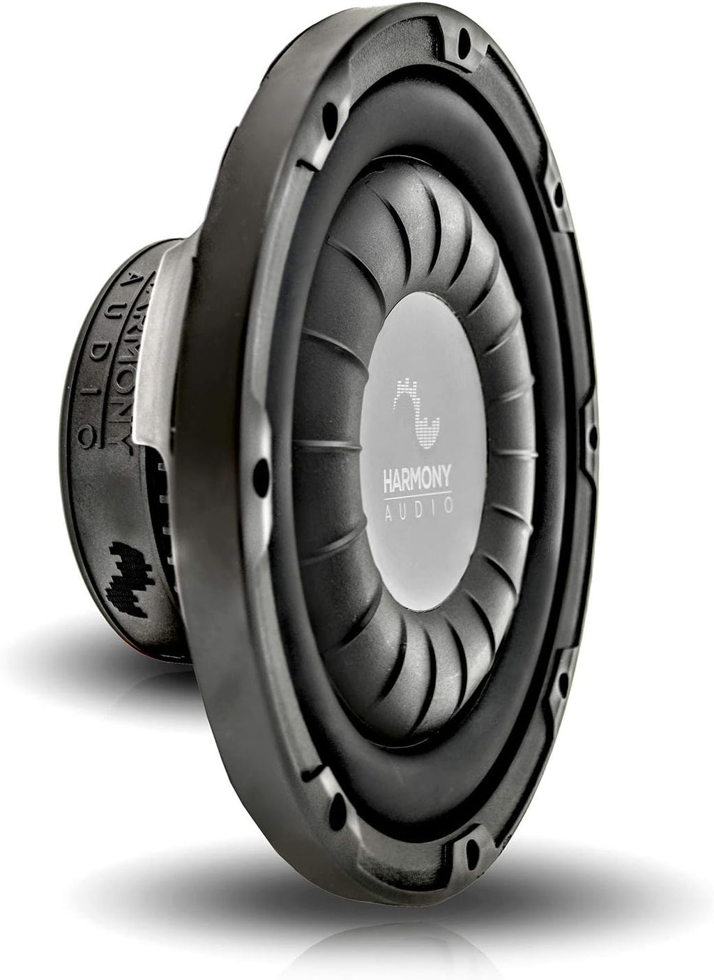 10 Subwoofer with Amp and Sub Box C1801