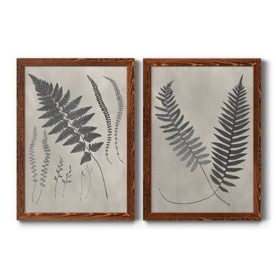 Vintage Fern Study Framed Print P92808