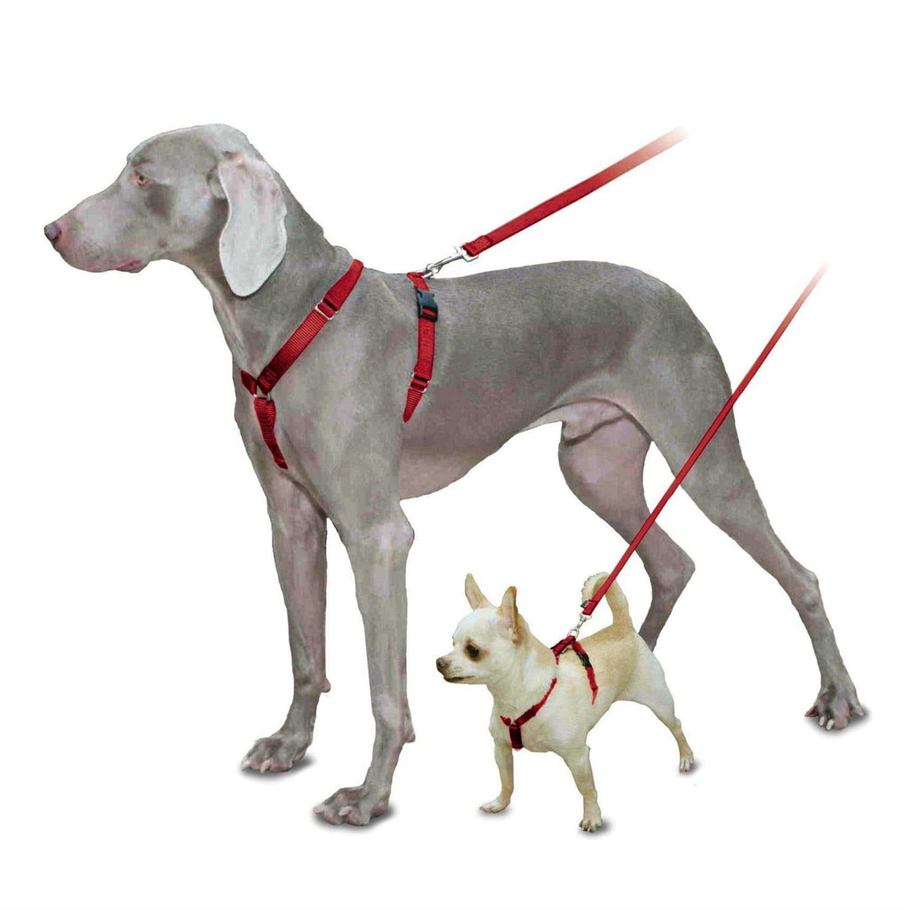 Pet Supplies U54778