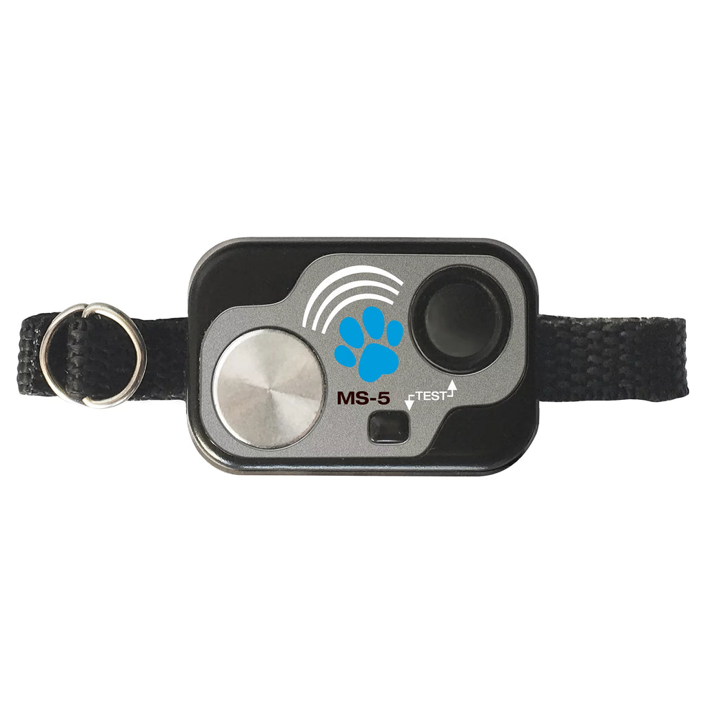 Large Opening Power Pet Door Q609453