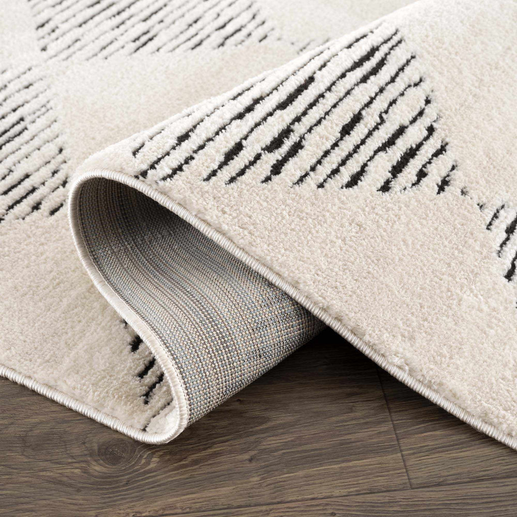 Cream Black White Area Rug H68568