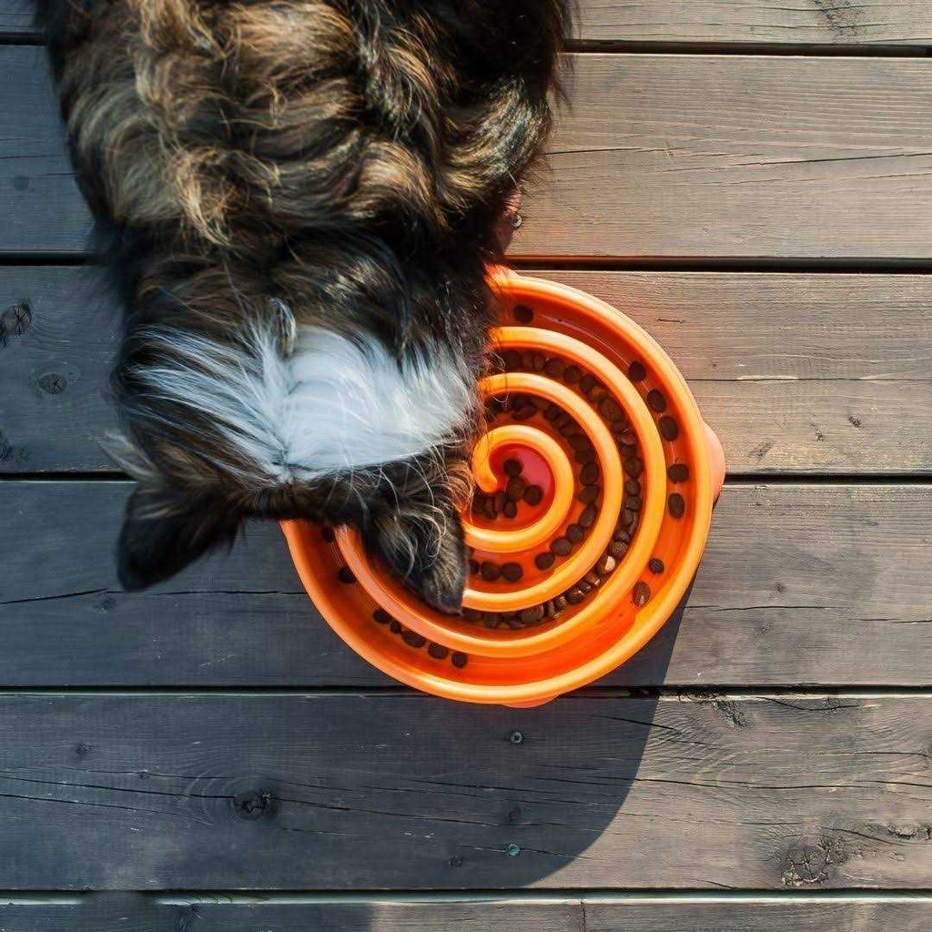 Slow Feeder Dog Bowl G168