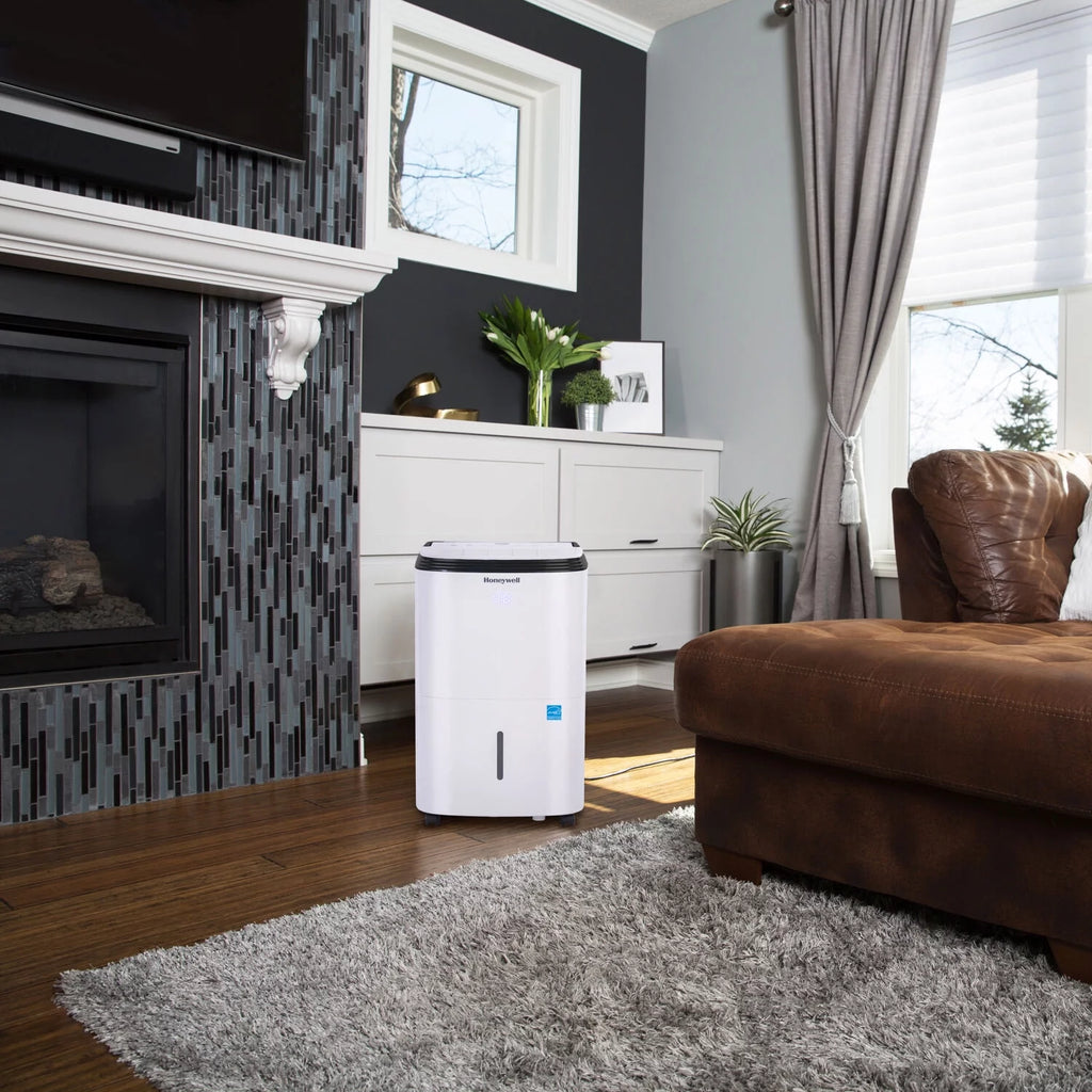 20 pt 1000 sq ft Dehumidifier D665