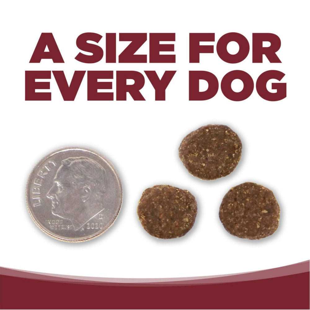 Beef Rice Dry Dog Food G9477
