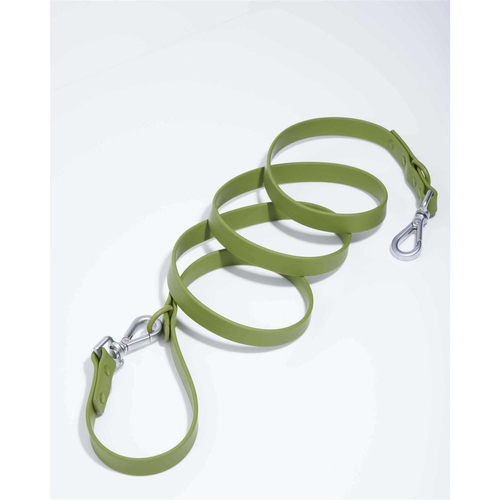 Dog Leash R538073