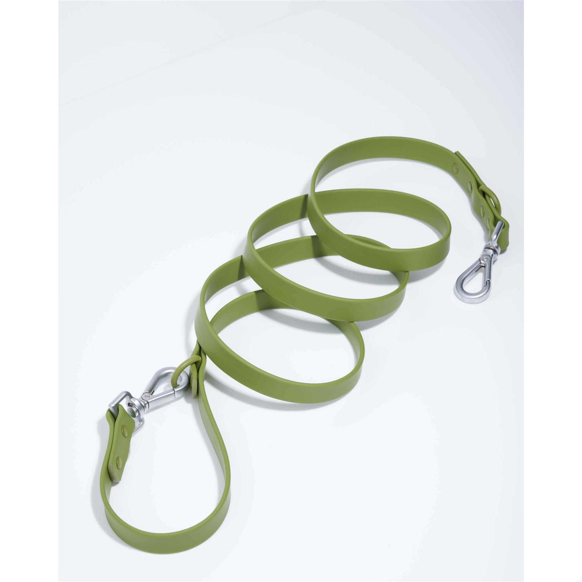 Dog Leash R538073