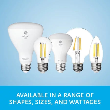 LED Light Bulbs Daylight 40 Watt Replacement Candelabra Base 2 Pack Z312
