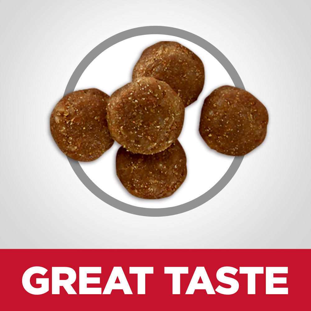Chicken Dry Cat Food Y774103