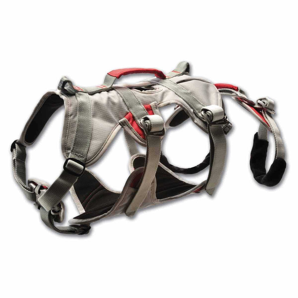 Doubleback Harness I869991
