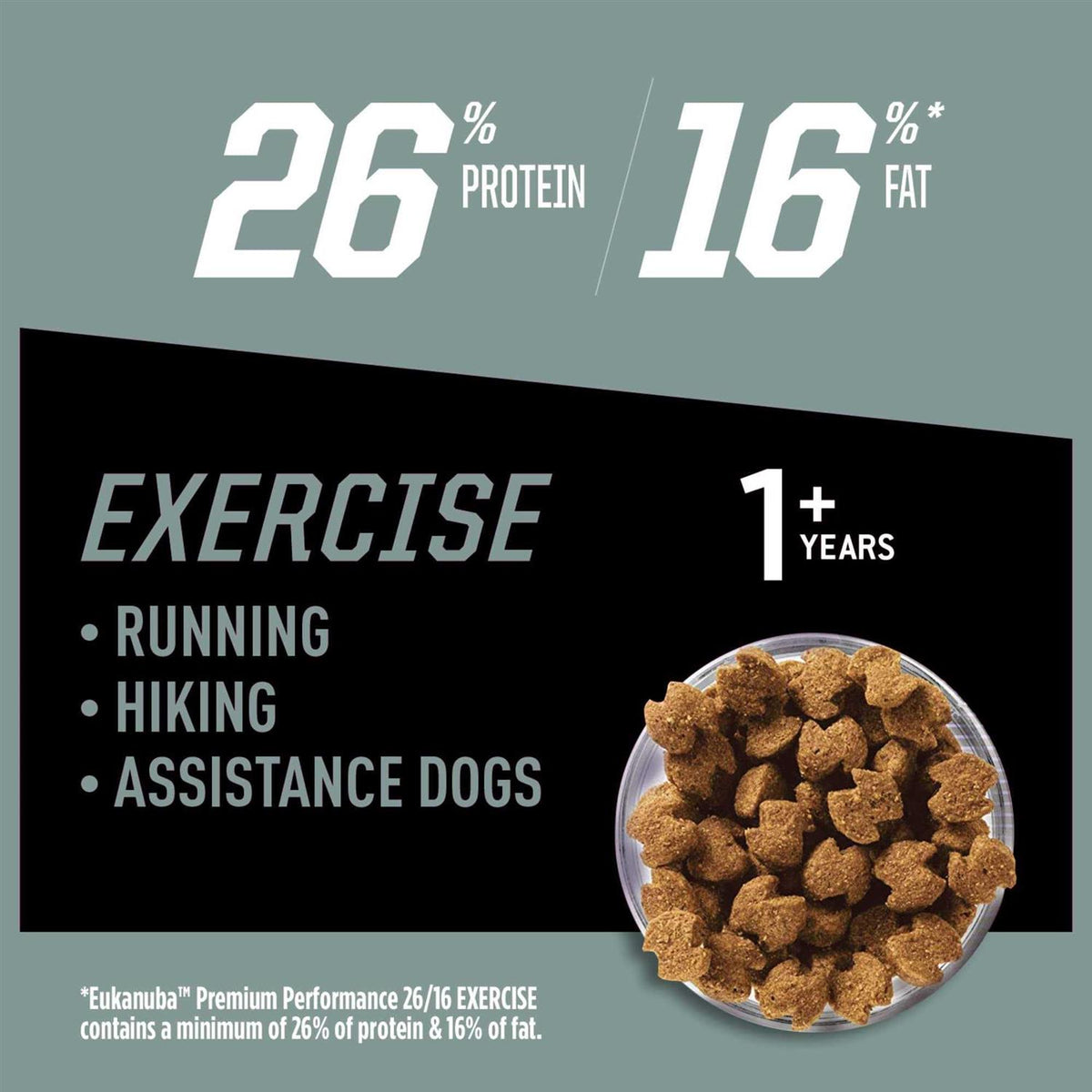Dry Dog Food N123751