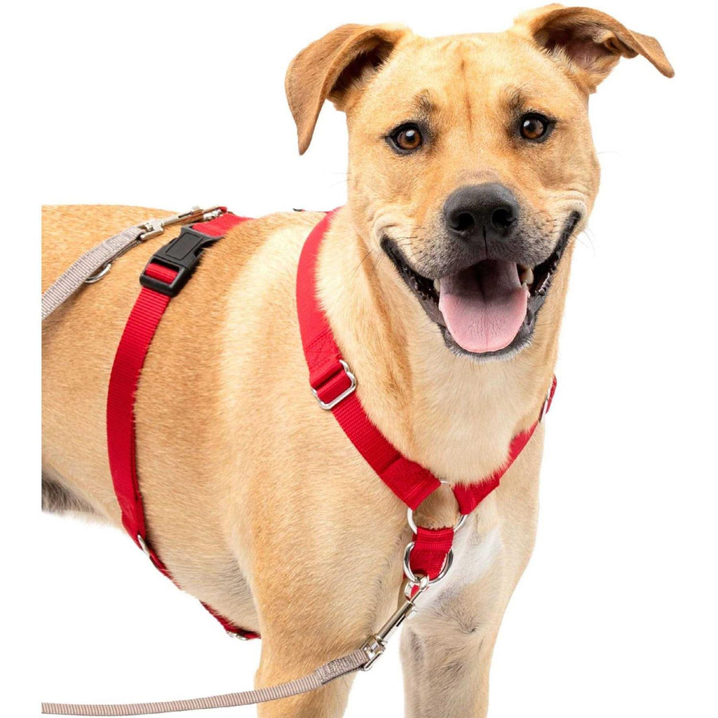 Pet Supplies U54778