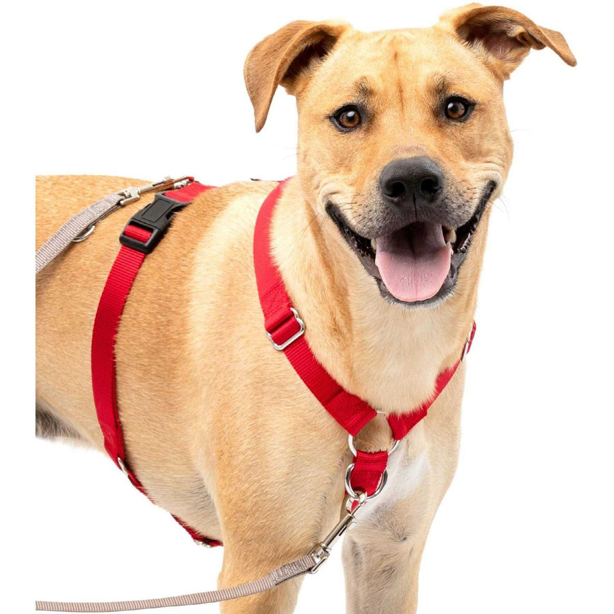 Pet Supplies U54778