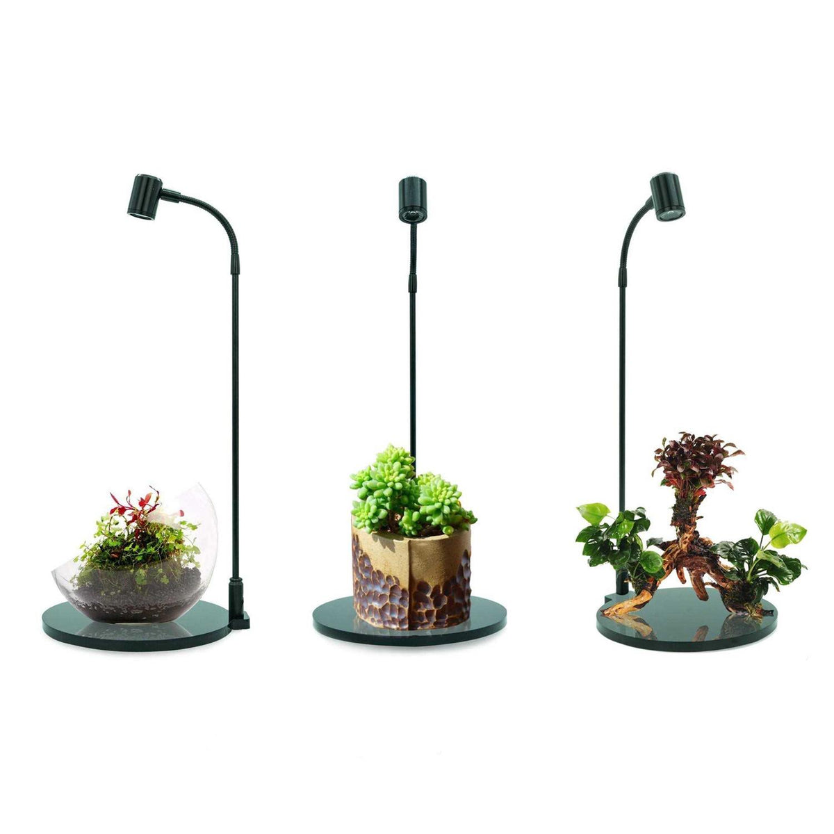 Mini Aquarium LED Spotlight P35799