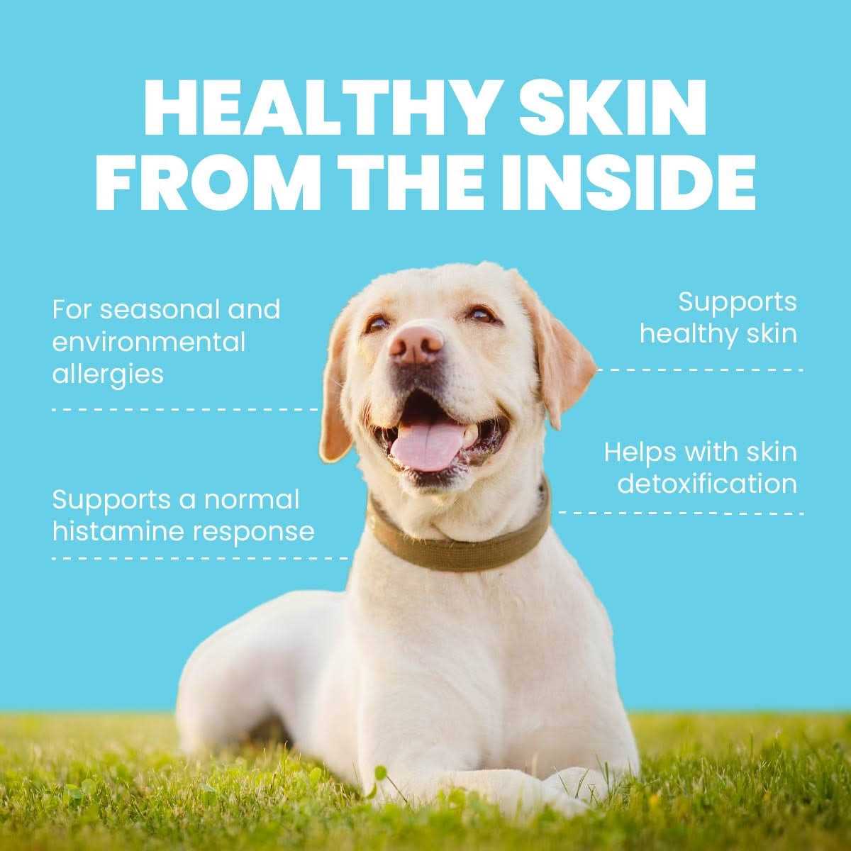 Pet Supplies P1462