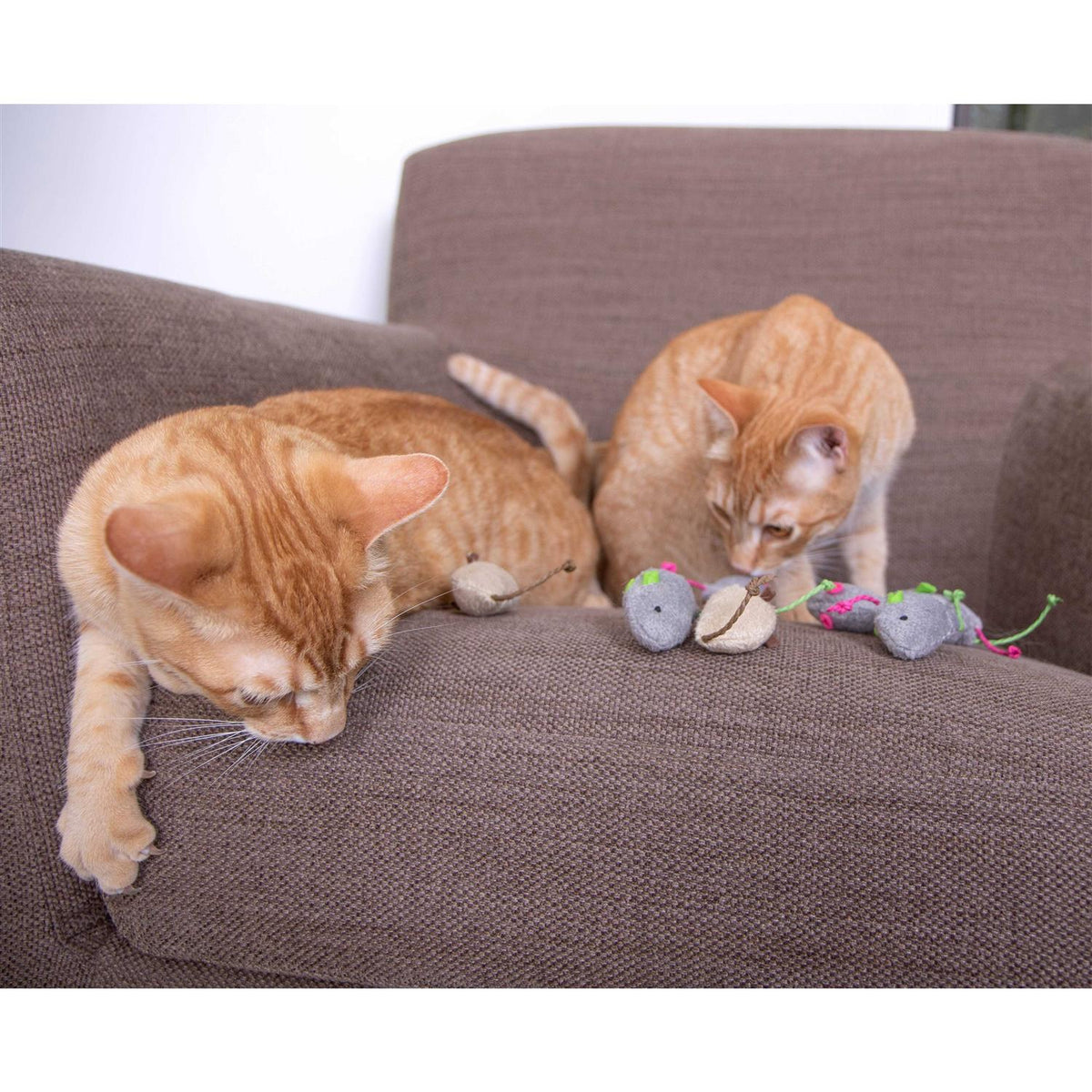 Catnip Cat Toys A645