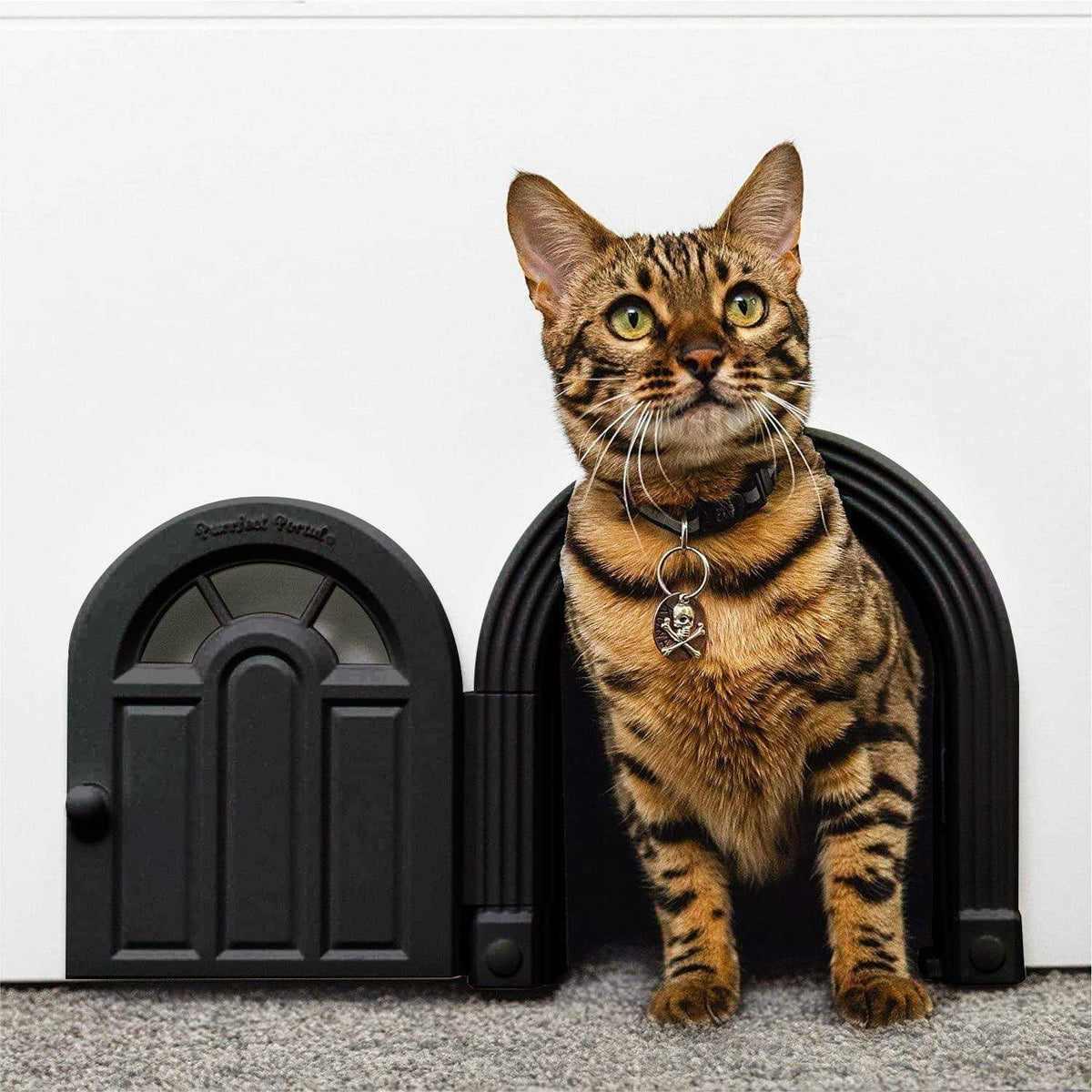 Interior Cat Door for Cats Up to 20 lbs Y1161