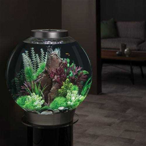 Classic 60 Aquarium with LED Q94111