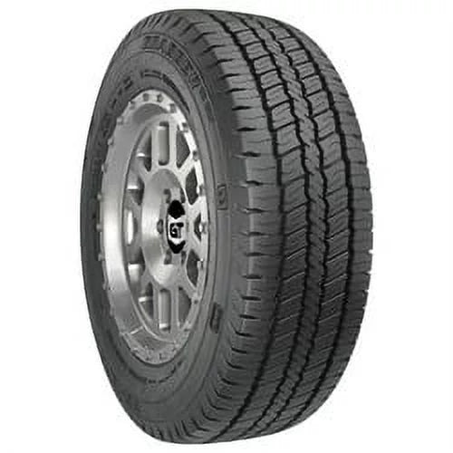 All Season Tire C750