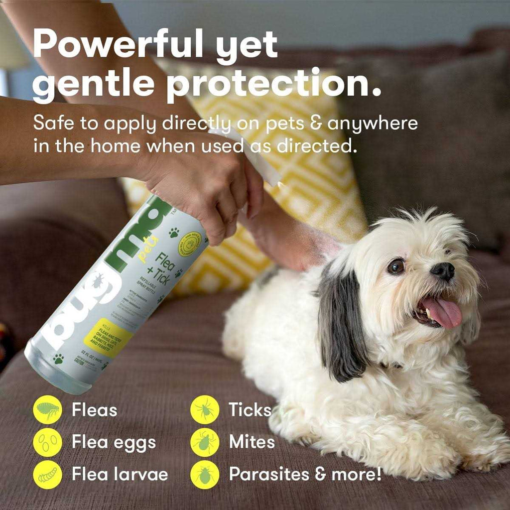 Flea and Tick Concentrate Essential Oil-Powered Formula Y429
