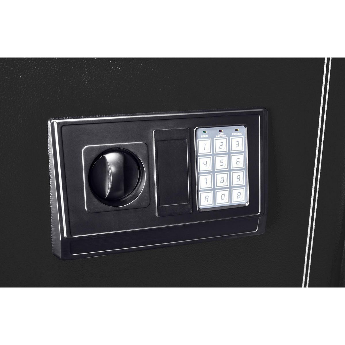 10-Gun Electronic Security Safe W29484
