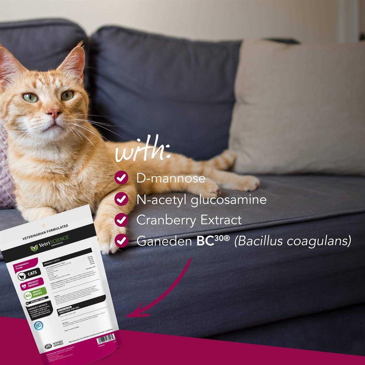 Feline Pet Supplies G8846