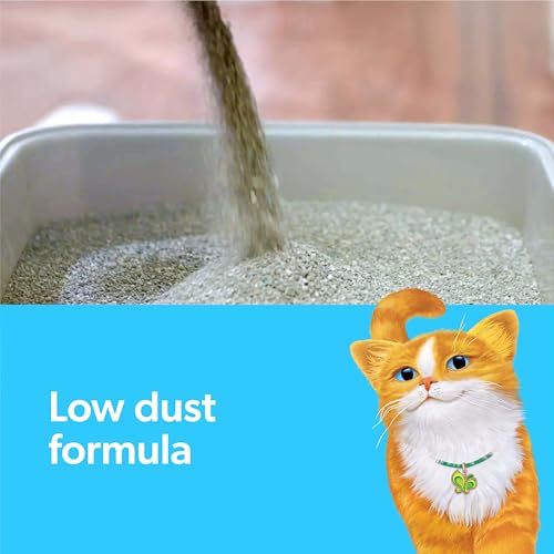 Clumping Cat Litter with Activated Charcoal, 14 lb L43438