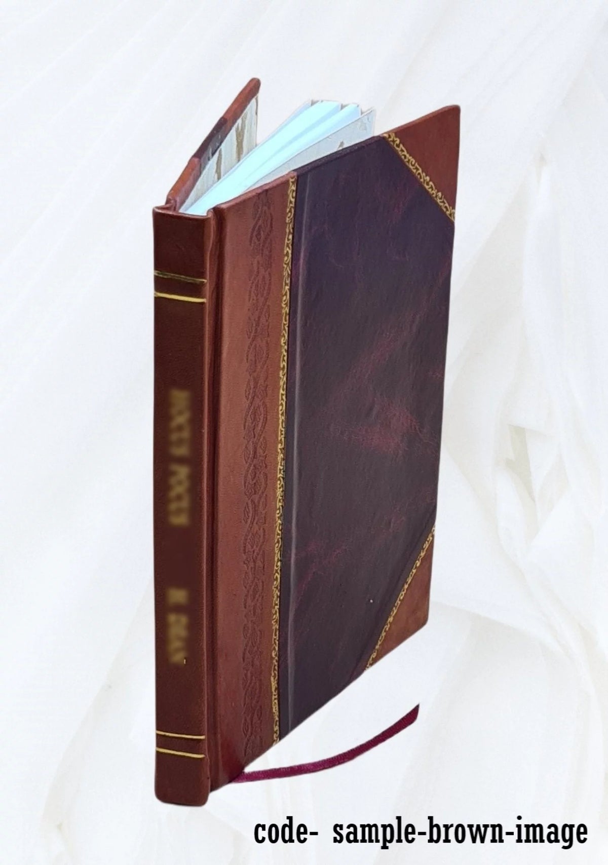Leather Bound Z298
