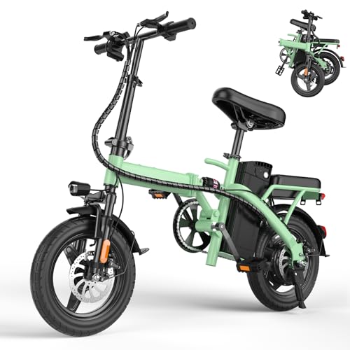 14" Folding Electric Bike 500W 48V 13Ah R59033