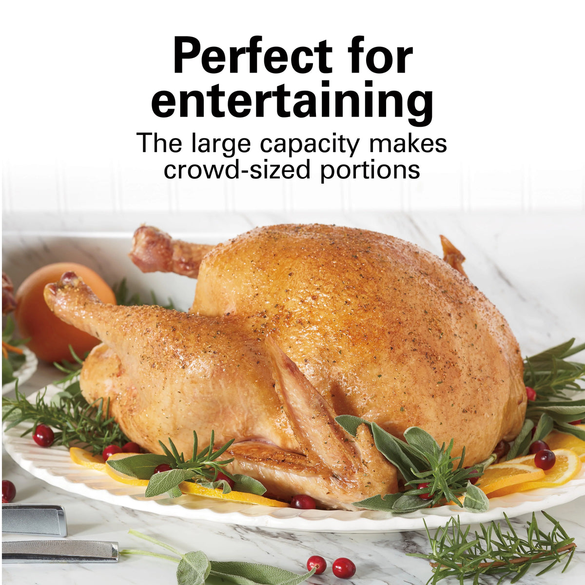 Electric Roaster Oven, 22 Quarts, Stainless Steel S248553