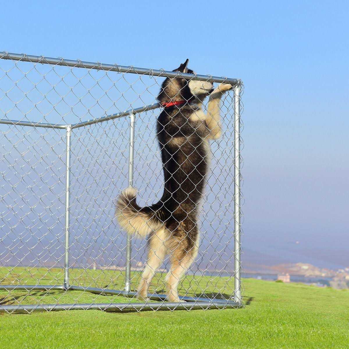Large Pet Dog Kennel Cage 7.5' x 7.5' Playpen P357247