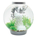 Classic 60 Aquarium with LED Q94111