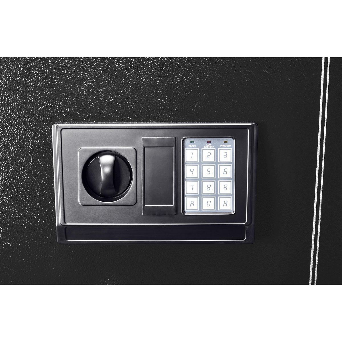 10-Gun Electronic Security Safe W29484