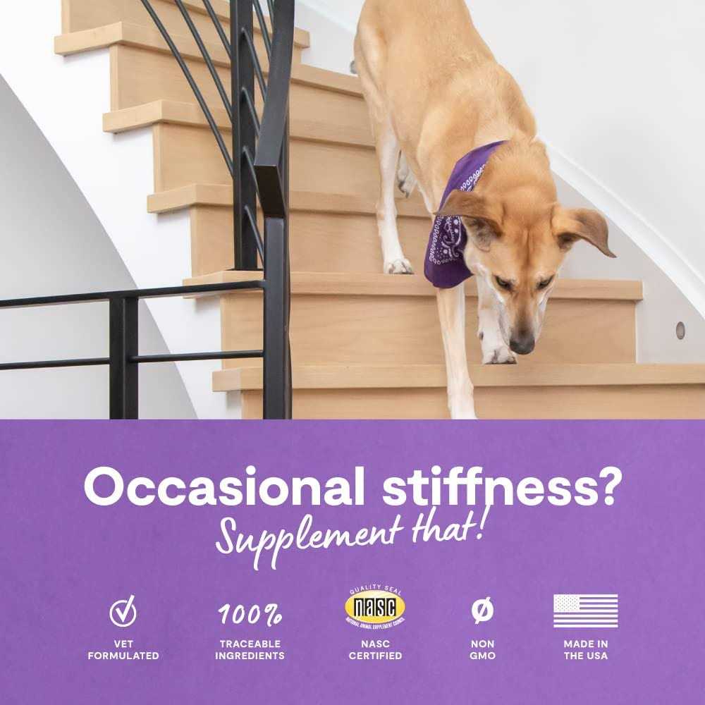 Dog Hip & Joint Chews P363