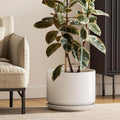 Ceramic Plant Pot with Drainage Holes and Saucer A595002